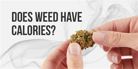 Weed Calories Uncovered: Surprising Truth Revealed