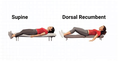 Mastering the Dorsal Recumbent Position for Optimal Medical Exams