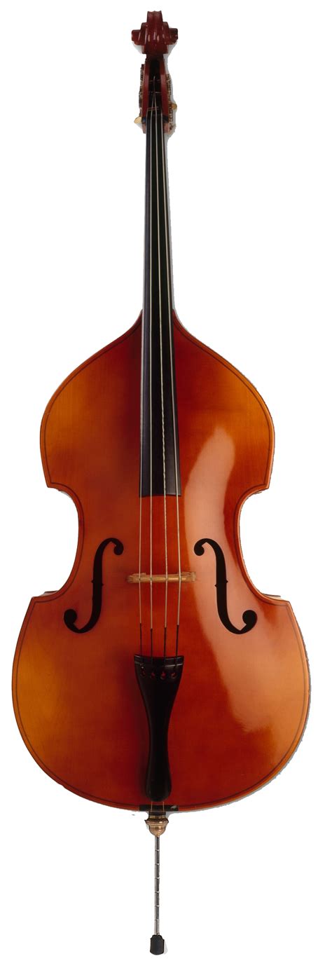Double Bass Instrument Secrets Unveiled