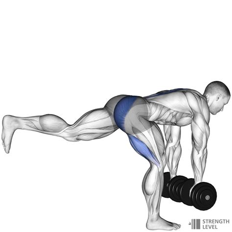 Dumbbell Single Leg Deadlift