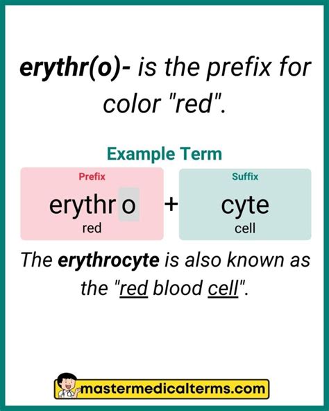 Eryth/o Medical Term: Uncovered Secrets