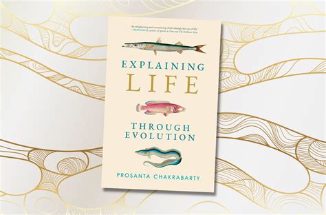 Explaining Life Through Evolution The Roots Of Our Amp 39 Tree Of Life Amp 39 Explaining Life Through Evolution The Roots Of Our Amp 39 Tree Of Life Amp 39