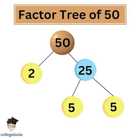 Decoding Factors of 50: Essential Insights