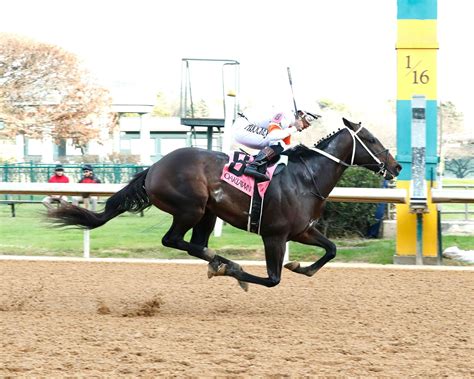 Fast Form Twinspires Fast Form Twinspires