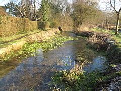 File The River Lambourn Geograph Org Uk 497752 Jpg Wikimedia Commons