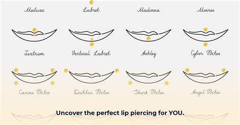 Find Your Perfect Lip Piercing Different Kinds Of Lip Piercings Guide