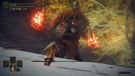 Fire Giant Weakness Elden Ring