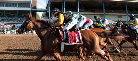 Fort Erie Racing Home Fort Erie Racing Home