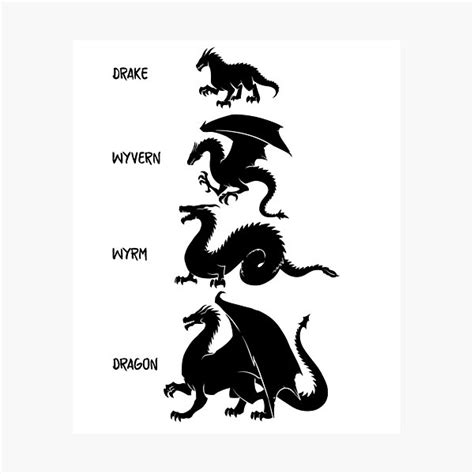 Four Dragon Types Dragon Species Magnet For Sale By Merchactually Redbubble