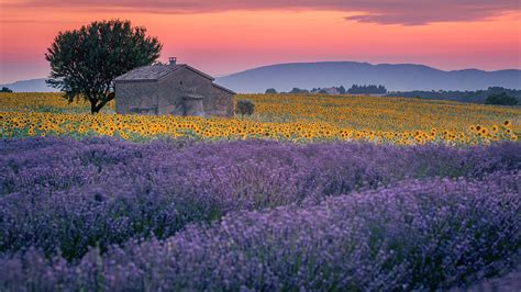 Unveiling the True Cost and Benefits of France Windows for Adult Homeowners