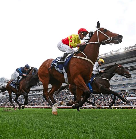 Free Horse Racing Tickets Latestfreestuff Co Uk Free Horse Racing Tickets Latestfreestuff Co Uk