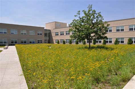 George Westinghouse College Prep Christy Webber Landscapes