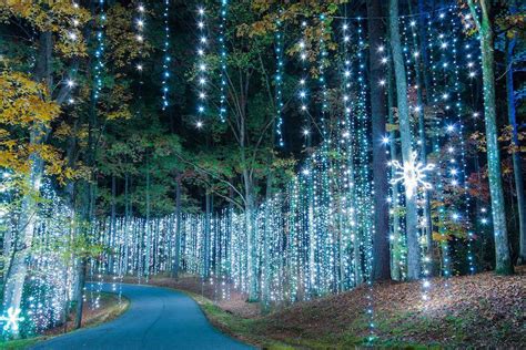 Georgia Pine Mountain Callaway Gardens Fantasy In Lights United States Georgia Other Postcard Hippostcard