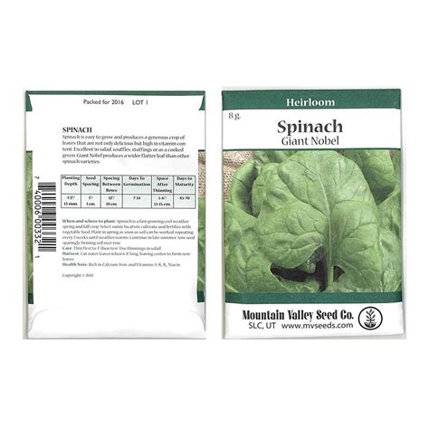 Giant Nobel Spinach Seeds 1 Lb Seed Pouch Heirloom Non Gmo Gardening Seed Slow Bolt Garden Spinach Microgreens Seed Giant Nobel Spinach Seeds 1 Lb Seed Pouch Heirloom Non Gmo Gardening Seed Slow Bolt Garden Spinach Microgreens Seed