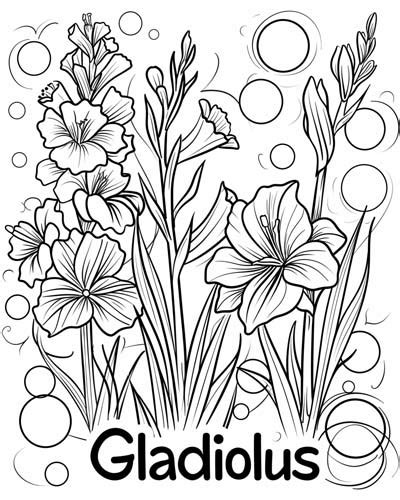 Gladiolus Coloring Pages For Kids In 2025 Gladiolus Coloring Pages For Kids In 2025