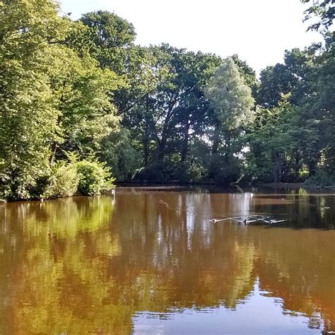 Goffs Park Crawley All You Need To Know Before You Go