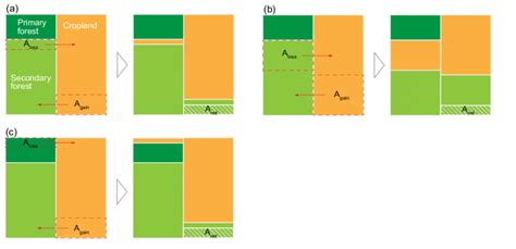 Trail Of Gross In The Forest: A Haunting Forest Mystery