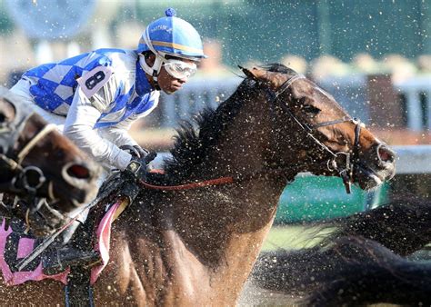 Hawthorne Gives General Update On Racino At Irb Meeting