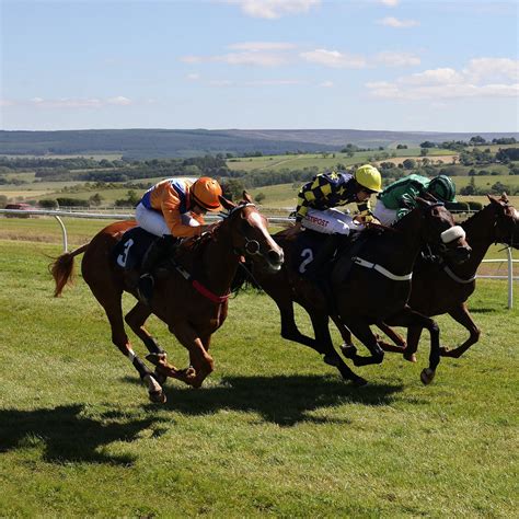 Hexham Racecourse 2026 Reviews All You Need To Know Before You Go