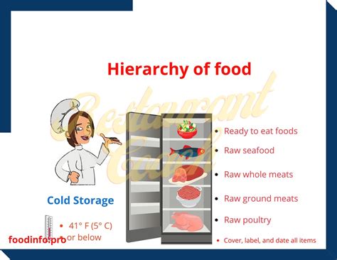 Hierarchy Of Food Pdf Restaurant Food Safety Tcs Etsy
