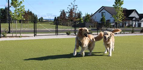 Hillsboro Dog Parks At A Glance City Of Hillsboro Or Hillsboro Dog Parks At A Glance City Of Hillsboro Or