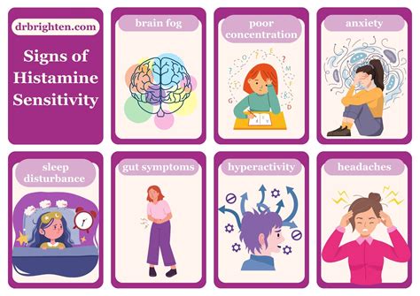 Histamine And Adhd The Hidden Connection Affecting Focus And Mood