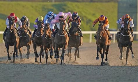 Horse Racing Tips February 11 Horses You Must Back At Punchestown Chelmsford And More Racing Sport Express Co Uk Horse Racing Tips February 11 Horses You Must Back At Punchestown Chelmsford And More Racing Sport Express Co Uk