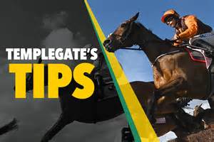 Horse Racing Tips Templegate Amp 39 S 4 1 Nap Has Been Improving All The Time
