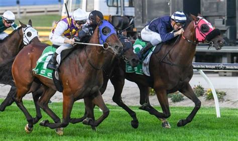 Horse Racing Tips Today Who To Back At Wolverhampton Chelmsford Ayr And Hereford Racing Sport Express Co Uk Horse Racing Tips Today Who To Back At Wolverhampton Chelmsford Ayr And Hereford Racing Sport Express Co Uk