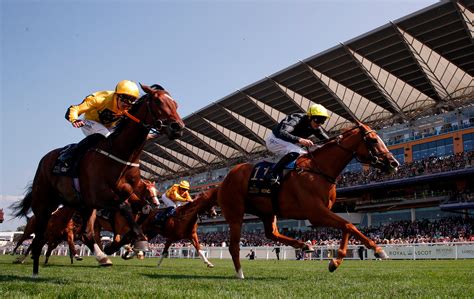 Horseracing Automatic Betting Terminals Leave Ascot Bookies All A Flutter Reuters