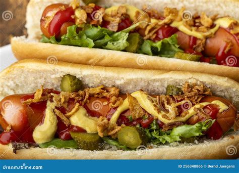 Hotdogs Stock Photo Image Of Barbecue Roasted Junkfood 256348866 Hotdogs Stock Photo Image Of Barbecue Roasted Junkfood 256348866