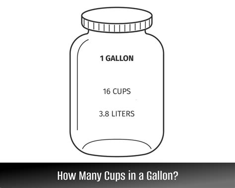 Half Gallon: Exact Cups Conversion Unveiled!