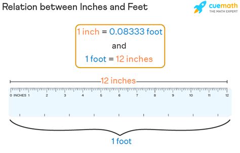 Convert Feet to Inches: Unravel the Mystery of 3 Feet to Inches Today