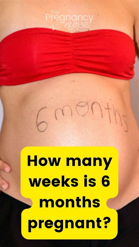 How Many Weeks Is Six Months Pregnant Artofit