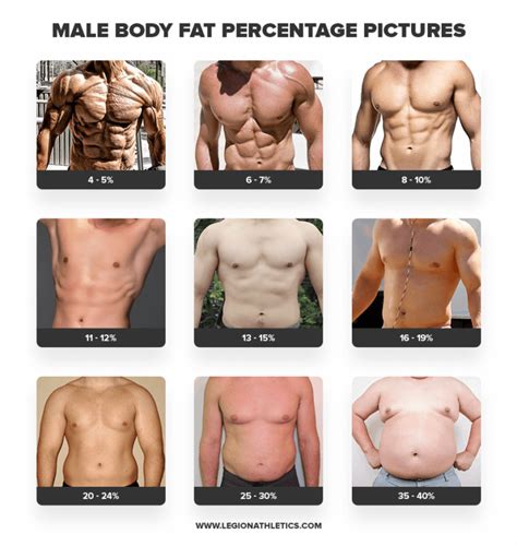 How To Calculate Body Fat Percentage Legion