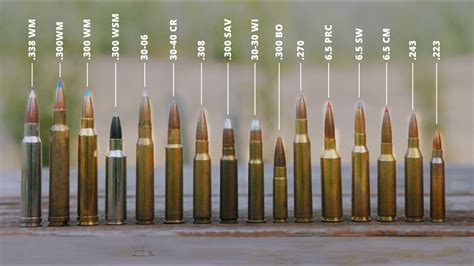 How To Choose A Hunting Rifle Cartridge Guide To Ballistics And Ammo Youtube