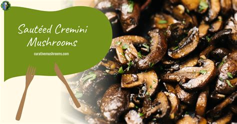 How To Cook Cremini Mushrooms Top Cremini Mushroom Recipes How To Cook Cremini Mushrooms Top Cremini Mushroom Recipes