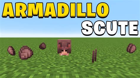 How To Get Armadillo Scutes