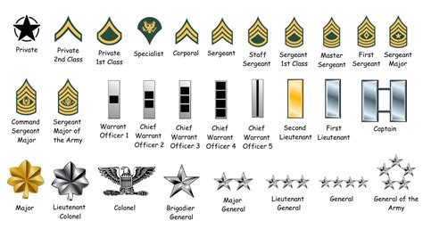 How To Identify Us Army Ranks Couponannie