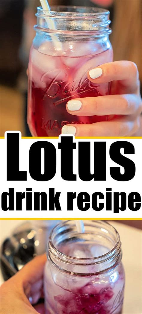 How To Make Lotus Drink Recipe The Typical Mom