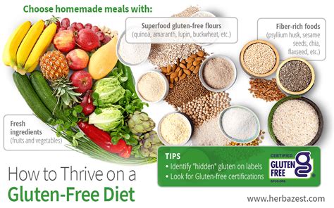 How To Thrive On A Gluten Free Diet Herbazest