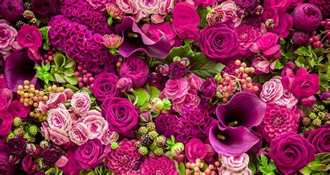 Discover the Art of Import Flowers: Exotic Beauty Delivered to Your Doorstep