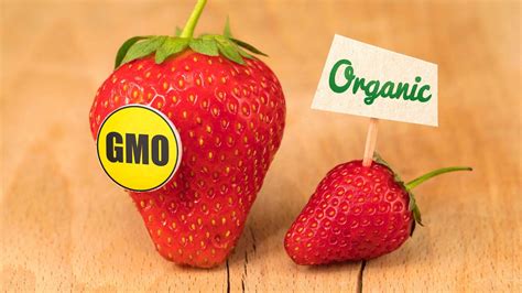Is Organic Food Healthier Than Gmo