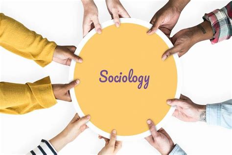 Job Opportunities For Sociology