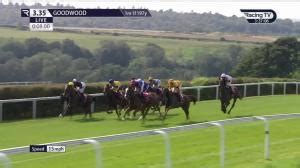 John Thady Gosden Race Record Statistics Wins Racing Tv