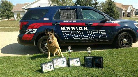 K 9 Officer Lingo Retires From Marion Police Department After Successful Career The Gazette K 9 Officer Lingo Retires From Marion Police Department After Successful Career The Gazette