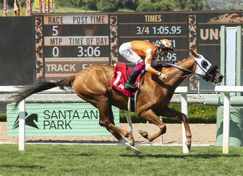 King Of Gosford Gives Prat Record Graded Stakes Win Bloodhorse
