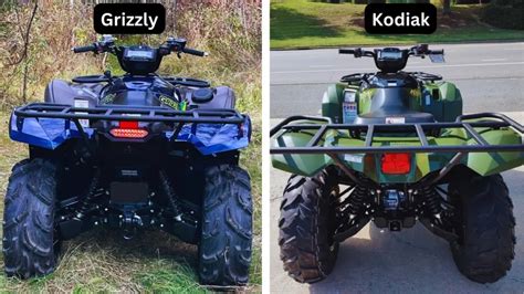 Kodiac vs Grizzly: Ultimate Showdown