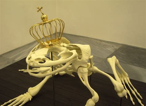 Lobo Delgado Lobo F Nix Aireado Hermoso Lobo Delgado Con Alas Largas