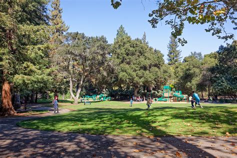 Los Altos Shoup Park